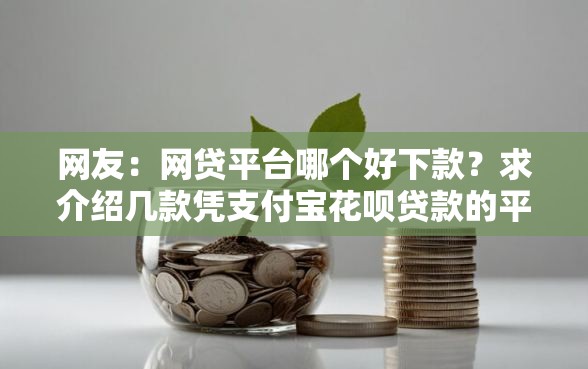 网友：网贷平台哪个好下款？求介绍几款凭支付宝花呗贷款的平台