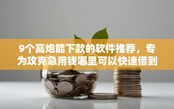 9个高炮能下款的软件推荐，专为攻克急用钱哪里可以快速借到难题