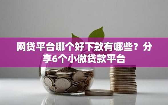 网贷平台哪个好下款有哪些？分享6个小微贷款平台