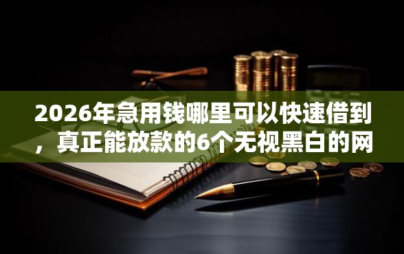 2026年急用钱哪里可以快速借到，真正能放款的6个无视黑白的网贷平台推荐