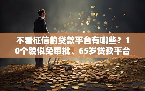不看征信的贷款平台有哪些？10个貌似免审批、65岁贷款平台合集