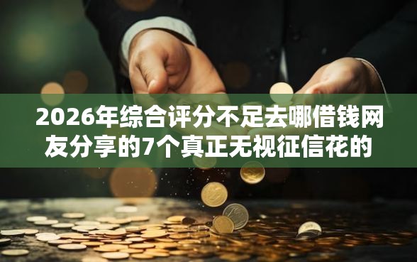 2026年综合评分不足去哪借钱网友分享的7个真正无视征信花的平台我觉得不错！