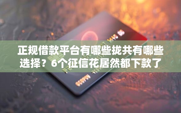 正规借款平台有哪些拢共有哪些选择？6个征信花居然都下款了的软件详解