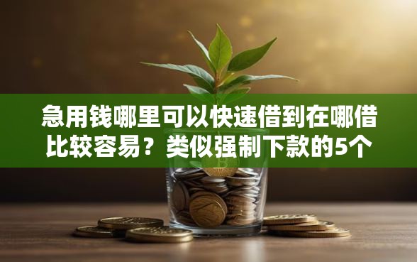 急用钱哪里可以快速借到在哪借比较容易？类似强制下款的5个口子参考
