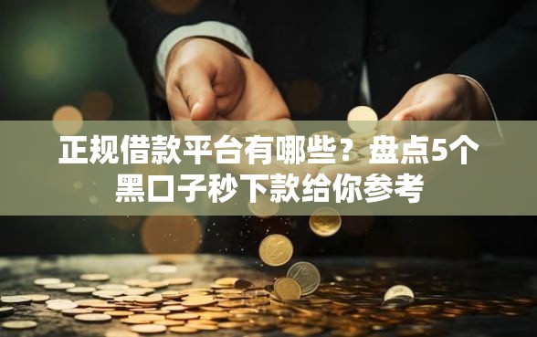 正规借款平台有哪些？盘点5个黑口子秒下款给你参考