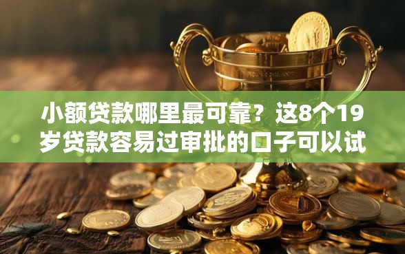 小额贷款哪里最可靠？这8个19岁贷款容易过审批的口子可以试试