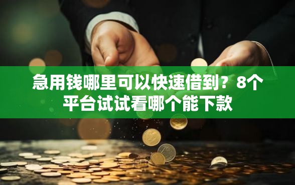 急用钱哪里可以快速借到？8个平台试试看哪个能下款