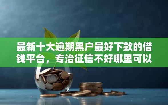 最新十大逾期黑户最好下款的借钱平台，专治征信不好哪里可以借钱
