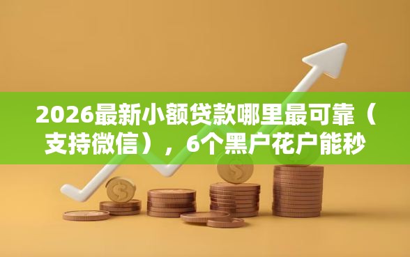2026最新小额贷款哪里最可靠（支持微信），6个黑户花户能秒下款的平台无私分享