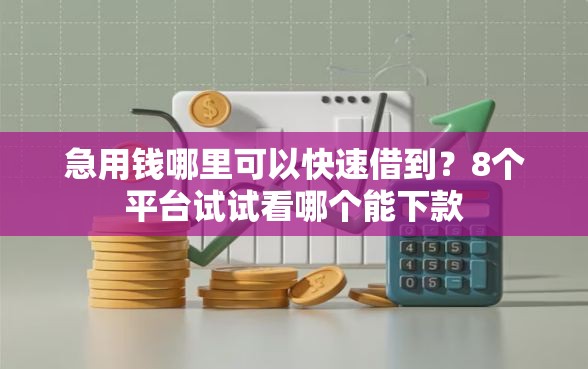 急用钱哪里可以快速借到?8个平台试试看哪个能下款 急用钱哪里可以快速借到?8个平台试试看哪个能下款