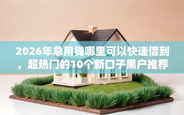 2026年急用钱哪里可以快速借到，超热门的10个新口子黑户推荐