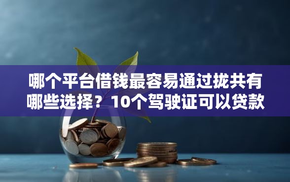 哪个平台借钱最容易通过拢共有哪些选择？10个驾驶证可以贷款的平台详解