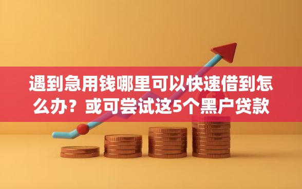遇到急用钱哪里可以快速借到怎么办?或可尝试这5个黑户贷款的口子必下app 遇到急用钱哪里可以快速借到怎么办?或可尝试这5个黑户贷款的口子必下app