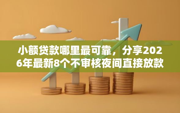 小额贷款哪里最可靠，分享2026年最新8个不审核夜间直接放款的网贷平台