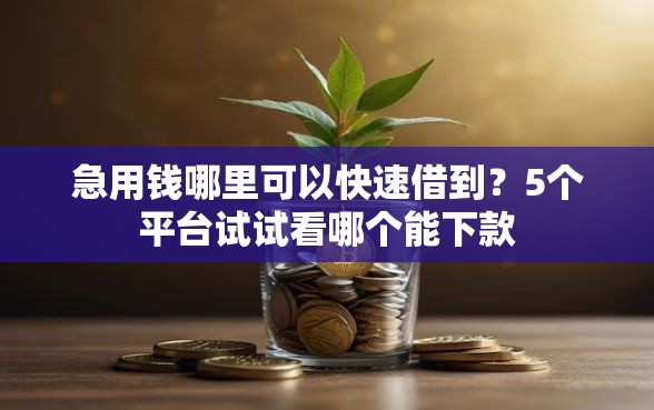 急用钱哪里可以快速借到？5个平台试试看哪个能下款
