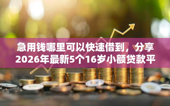 急用钱哪里可以快速借到，分享2026年最新5个16岁小额贷款平台