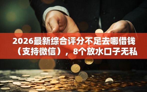 2026最新综合评分不足去哪借钱（支持微信），8个放水口子无私分享