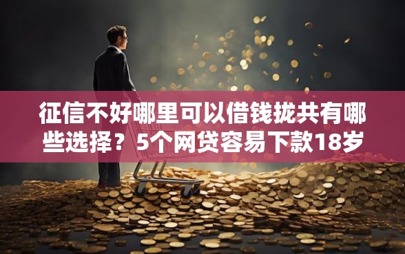 征信不好哪里可以借钱拢共有哪些选择？5个网贷容易下款18岁的口子详解