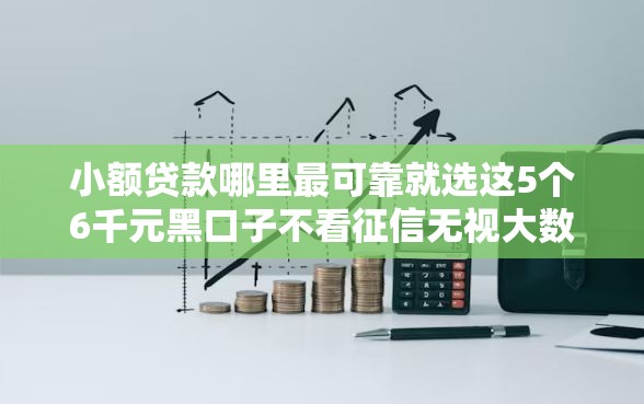 小额贷款哪里最可靠就选这5个6千元黑口子不看征信无视大数据 小额贷款哪里最可靠就选这5个6千元黑口子不看征信无视大数据