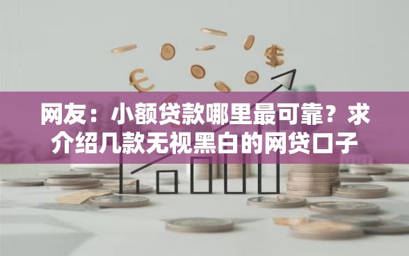 网友：小额贷款哪里最可靠？求介绍几款无视黑白的网贷口子
