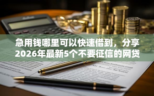 急用钱哪里可以快速借到，分享2026年最新5个不要征信的网贷平台