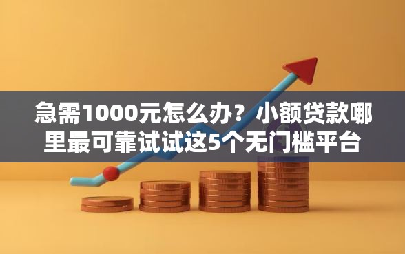 急需1000元怎么办?小额贷款哪里最可靠试试这5个无门槛平台 急需1000元怎么办?小额贷款哪里最可靠试试这5个无门槛平台