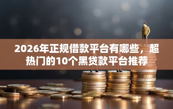2026年正规借款平台有哪些，超热门的10个黑贷款平台推荐