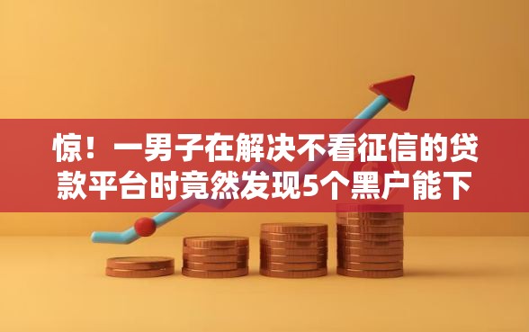 惊！一男子在解决不看征信的贷款平台时竟然发现5个黑户能下款的口子，事后分享了出来