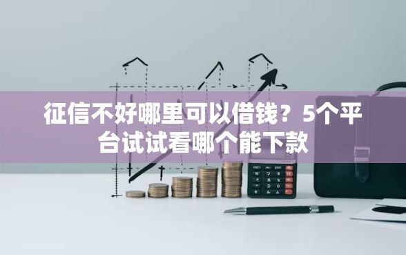 征信不好哪里可以借钱？5个平台试试看哪个能下款