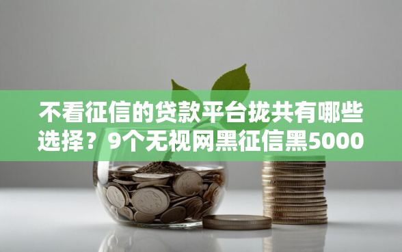 不看征信的贷款平台拢共有哪些选择？9个无视网黑征信黑5000贷款口子详解