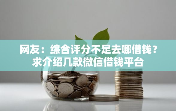 网友：综合评分不足去哪借钱？求介绍几款微信借钱平台