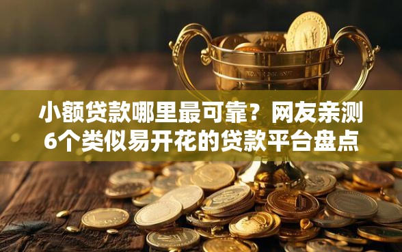 小额贷款哪里最可靠？网友亲测6个类似易开花的贷款平台盘点