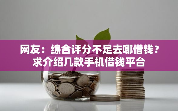 网友：综合评分不足去哪借钱？求介绍几款手机借钱平台