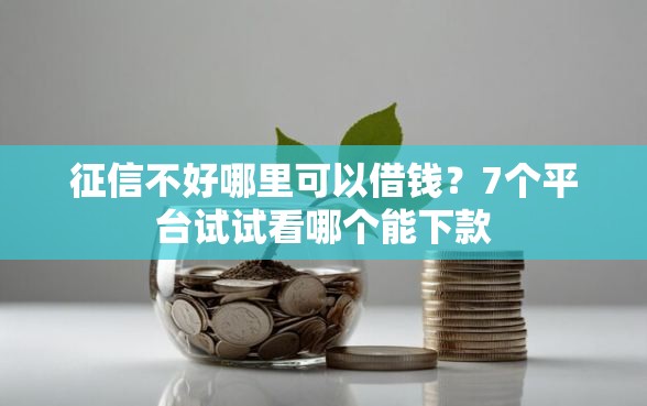 征信不好哪里可以借钱？7个平台试试看哪个能下款