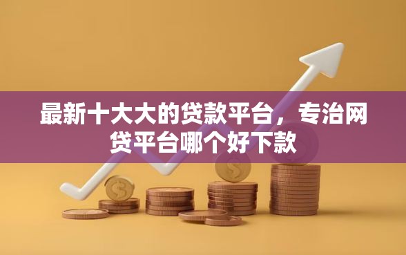 最新十大大的贷款平台，专治网贷平台哪个好下款