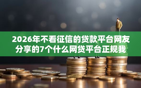 2026年不看征信的贷款平台网友分享的7个什么网贷平台正规我觉得不错！