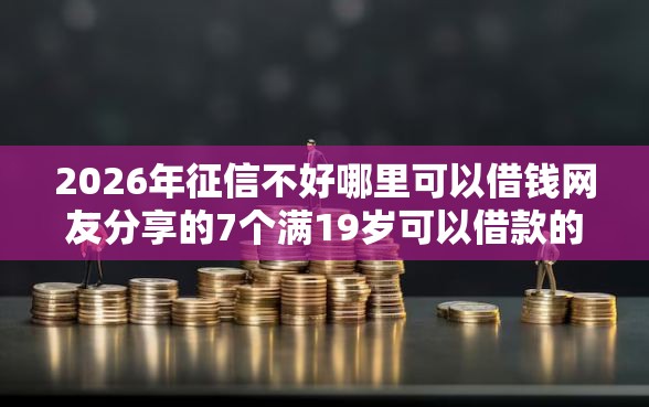 2026年征信不好哪里可以借钱网友分享的7个满19岁可以借款的口子我觉得不错！