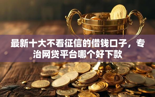 最新十大不看征信的借钱口子，专治网贷平台哪个好下款