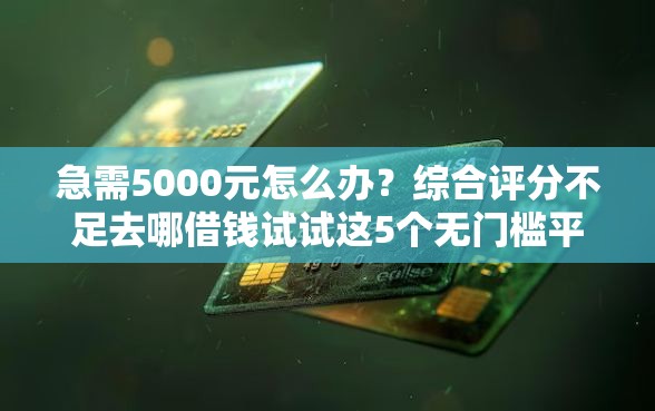 急需5000元怎么办？综合评分不足去哪借钱试试这5个无门槛平台