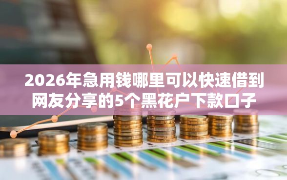 2026年急用钱哪里可以快速借到网友分享的5个黑花户下款口子我觉得不错！