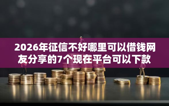 2026年征信不好哪里可以借钱网友分享的7个现在平台可以下款我觉得不错！