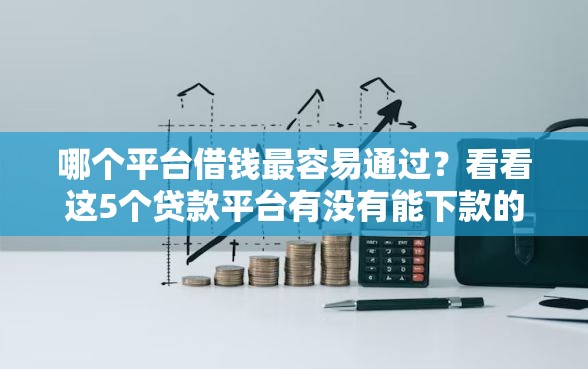 哪个平台借钱最容易通过？看看这5个贷款平台有没有能下款的