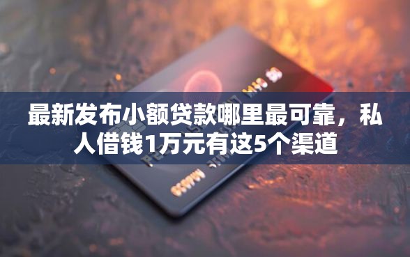 最新发布小额贷款哪里最可靠，私人借钱1万元有这5个渠道
