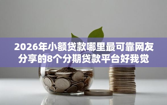 2026年小额贷款哪里最可靠网友分享的8个分期贷款平台好我觉得不错！