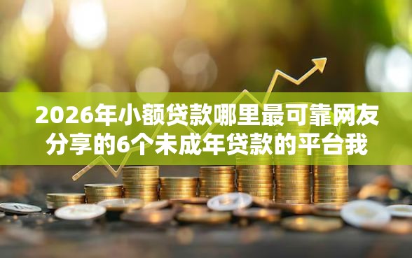 2026年小额贷款哪里最可靠网友分享的6个未成年贷款的平台我觉得不错！