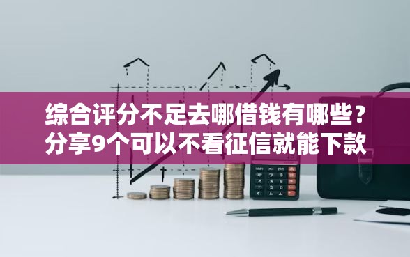 综合评分不足去哪借钱有哪些？分享9个可以不看征信就能下款的口子