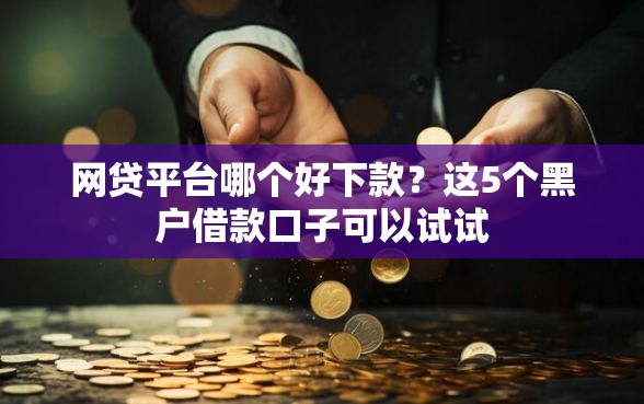 网贷平台哪个好下款？这5个黑户借款口子可以试试
