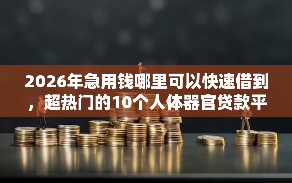 2026年急用钱哪里可以快速借到，超热门的10个人体器官贷款平台推荐