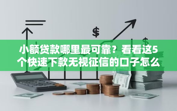 小额贷款哪里最可靠？看看这5个快速下款无视征信的口子怎么样