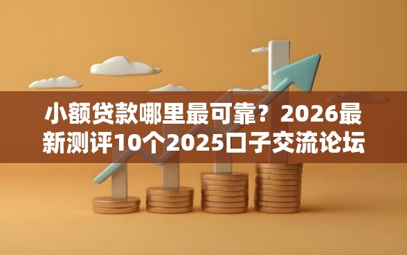 小额贷款哪里最可靠？2026最新测评10个2025口子交流论坛最新